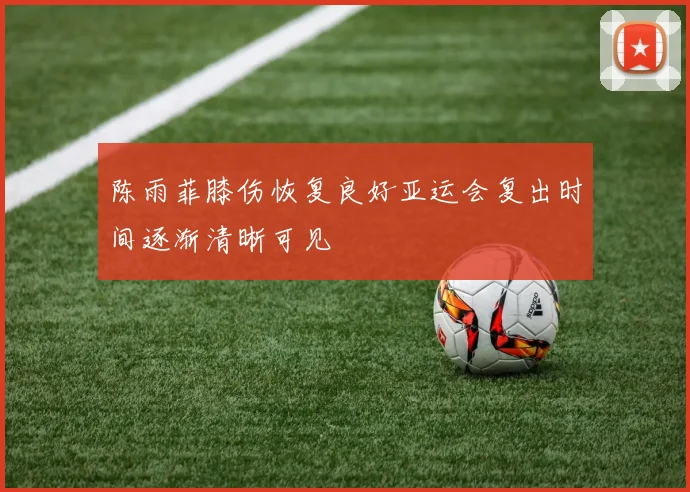 陈雨菲膝伤恢复良好亚运会复出时间逐渐清晰可见