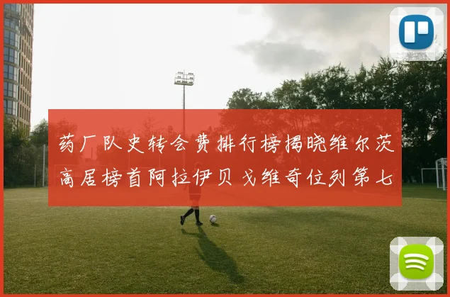 药厂队史转会费排行榜揭晓维尔茨高居榜首阿拉伊贝戈维奇位列第七
