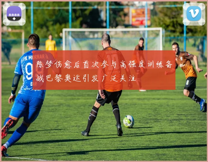 陈梦伤愈后首次参与高强度训练备战巴黎奥运引发广泛关注